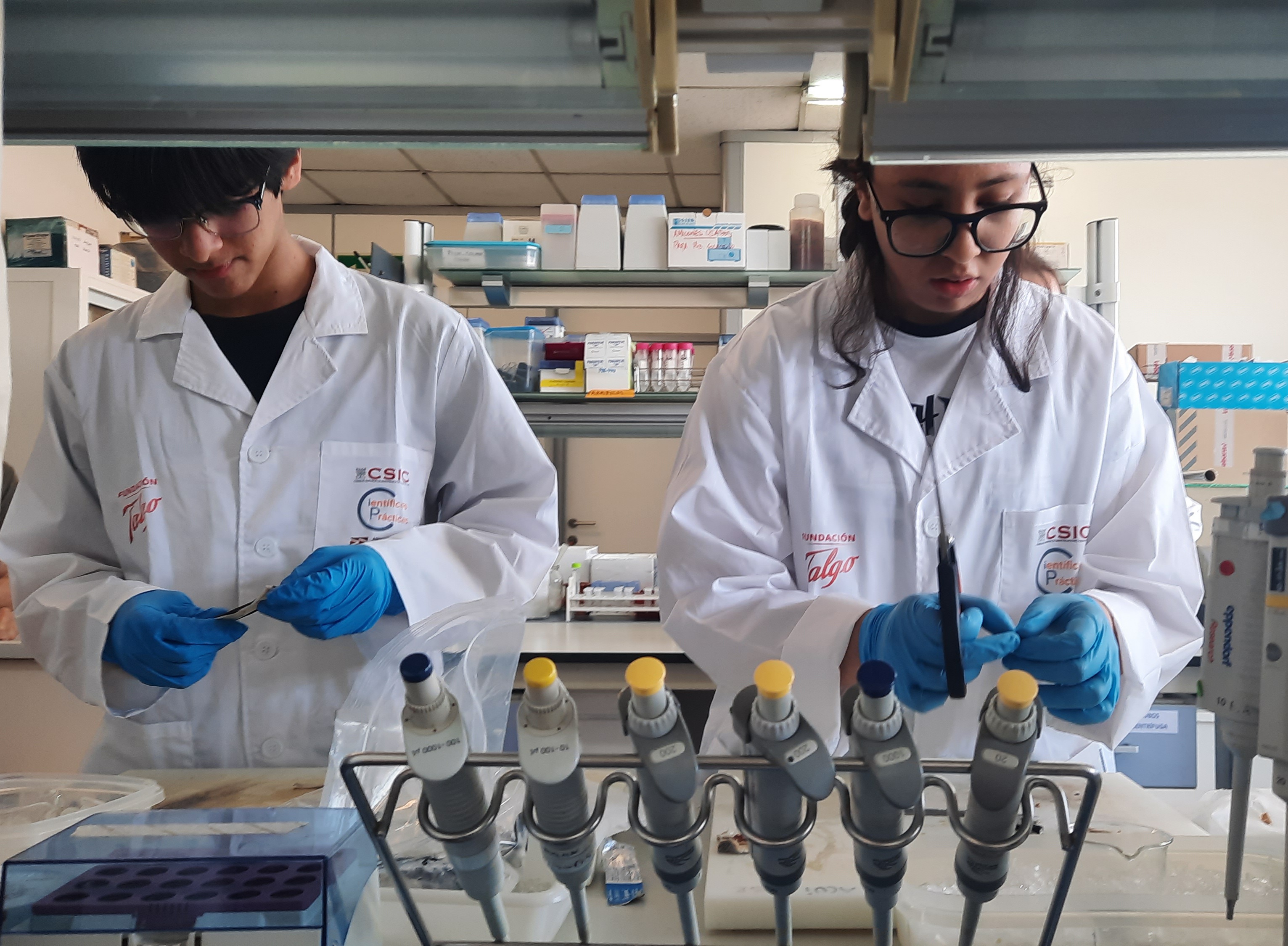 Científic@s en prácticas, el programa que acerca la ciencia al alumnado de zonas desfavorecidas celebra una nueva edición Científic@s en prácticas, el programa que acerca la ciencia al alumnado de zonas desfavorecidas celebra una nueva edición
