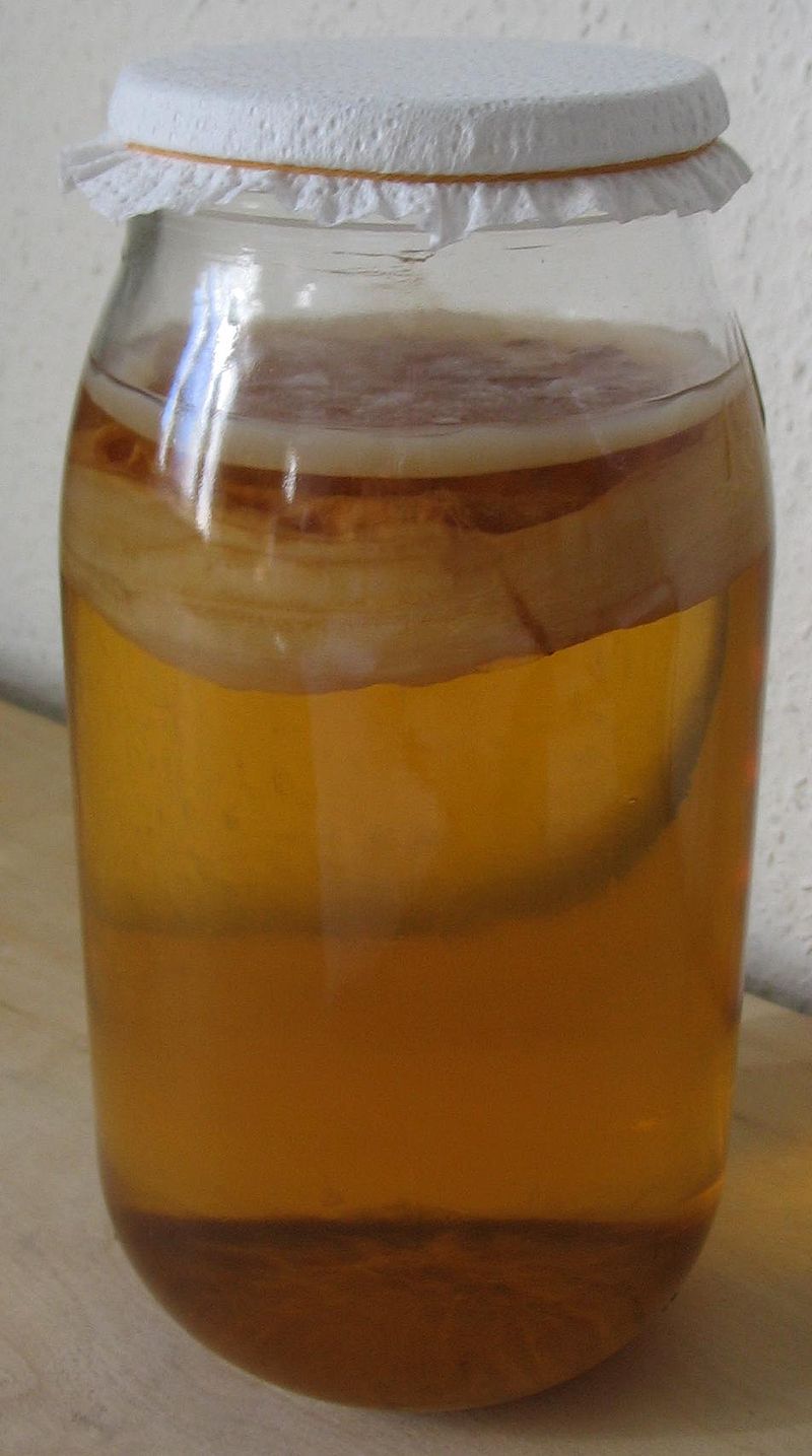 CC BY-SA 3.0 Archivo:Kombucha.jpg WIKIMEDIA "Kombucha Photo of Kombucha after several weeks of fermentation. Image taken on 2005-02-14 by me, Bjoern Appel, and put under the GNU FDL" El proyecto Atlas de fermentación salvaje del CSIC, seleccionado por la Fundación Daniel y Nina Carasso para imaginar futuros sostenibles