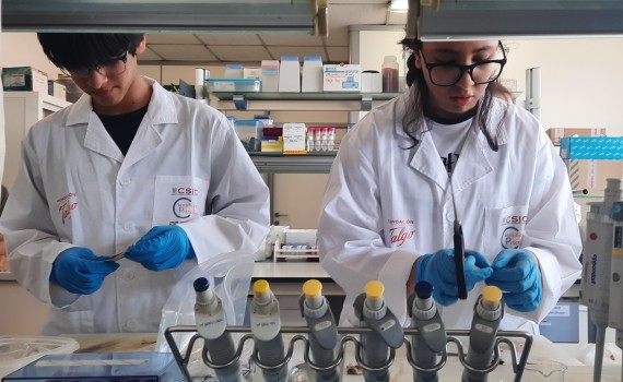 Científic@s en prácticas, el programa que acerca la ciencia al alumnado de zonas desfavorecidas celebra una nueva edición