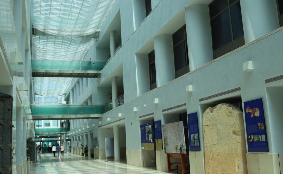 Los institutos ILC, ILLA e IEGD obtienen el sello Excelencia ASPIRA-MaX Josefa Barba del CSIC